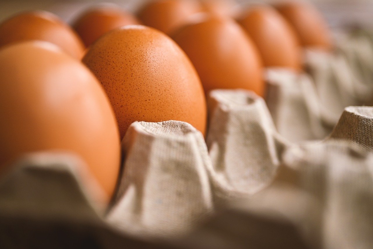 egg, egg holder, reproduction, chicken egg, food, storage, baking, cooking, egg, egg, egg, egg, egg