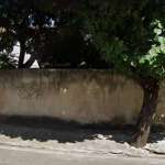 Terreno Horto