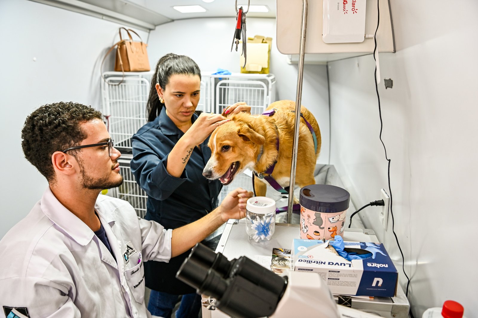 Prefeitura de Vitória abre seleção para contratar veterinário com salário de R$ 8,4 mil