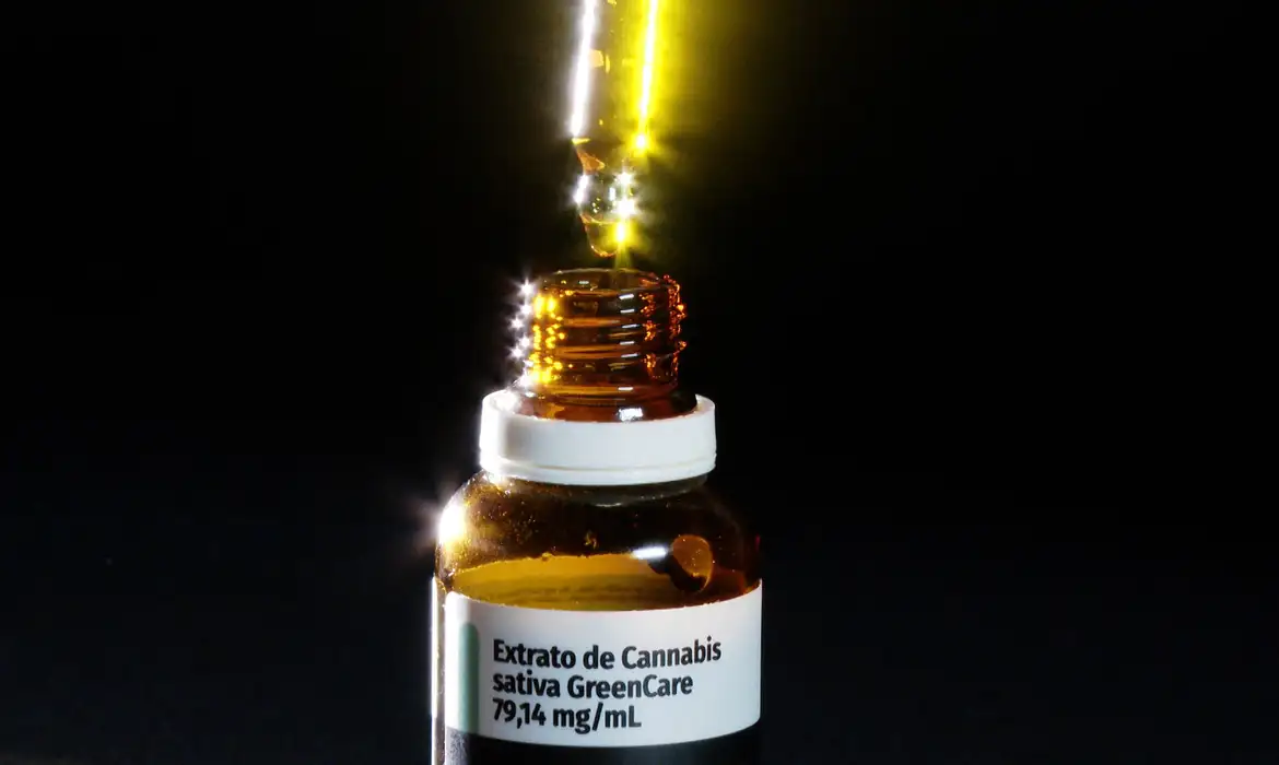 Artigo: Anvisa legaliza produção, cultivo e pesquisa da maconha medicinal no Brasil