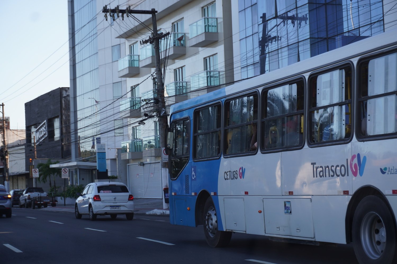 Vitória tem uma das piores taxas de arborização entre as capitais, aponta IBGE