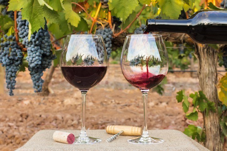 Seminário aborda produção de uvas de inverno e vinhos finos no ES