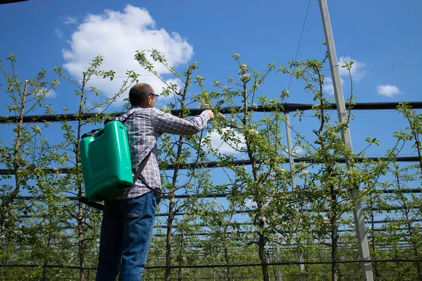 Pesquisa da Ufes relaciona uso de agrotóxicos a aumento de doenças em agricultores do ES