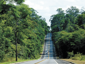 Trecho da BR-101 que passa pela Reserva de Sooretama terá redução de velocidade