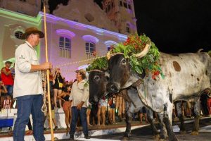 Tradicional Festa de São Benedito celebra fé e cultura na Serra