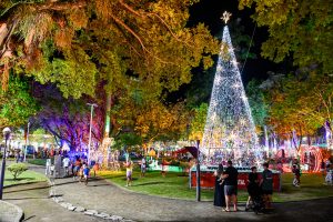 Homem é detido com enfeites de Natal furtados do Parque Moscoso, em Vitória