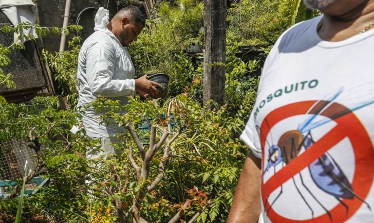 Dia D contra dengue promove ações em todo o Brasil