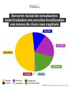 grafico2 Racismo ambiental 60 dos estudantes de escolas que ficam em areas de risco sao negros