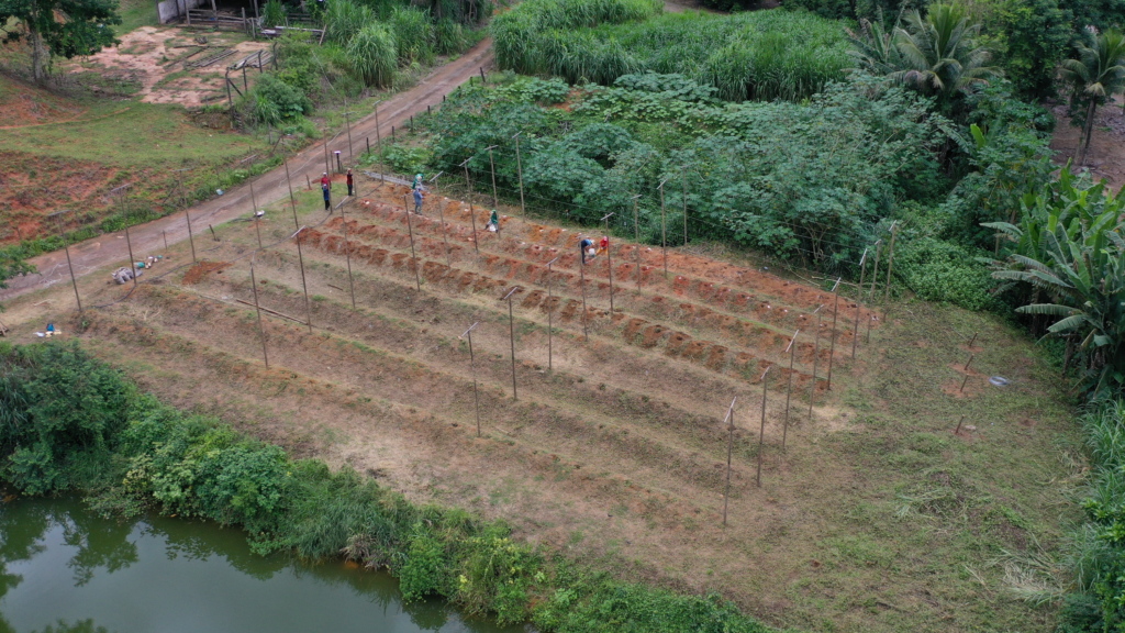 Campo de Lupulo Sitio Paraiso Maycon 3 fotor 2025011711407