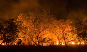 Brasil registra 278,2 mil focos de incêndio no ano, pior número desde 2010