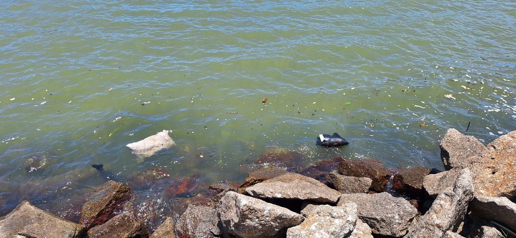 Poluição na Baia de Vitória. Foto: Walace Eduardo/ Leitor de VIXFeed