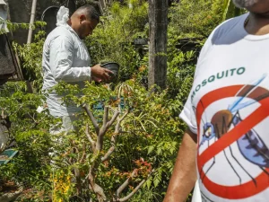 Casos de dengue em 2024 passam de 6,4 milhões; mortes somam 5,9 mil