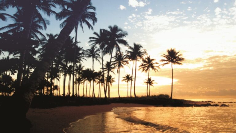 Crônica de ano novo pra ler ouvindo My favorite things