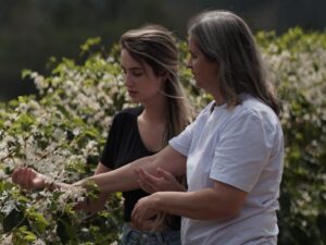 Família produtora de café no Caparaó Capixaba expande negócios para Europa e EUA