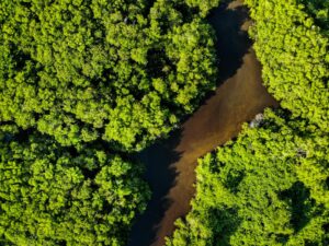 Emergência climática será discutida na Conferência Estadual de Meio Ambiente, em Cariacica
