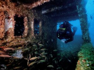 Entenda por que Guarapari é a Capital Nacional da Biodiversidade Marinha