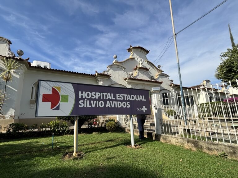 Área para construção do novo Hospital Estadual Sílvio Avidos, em Colatina, é definida