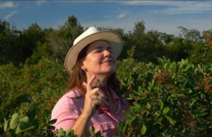 Pimenta-rosa cultivada no ES passa a ser utilizada por marca de cosméticos