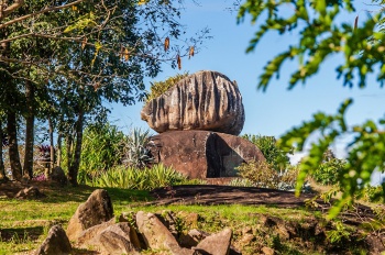 Pedra da Cebola terá ‘arraiá’ beneficente em prol de gatos sem lar