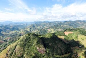 ES é líder nacional em recuperação de Mata Atlântica