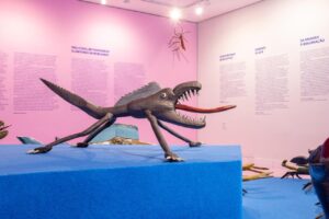 Exposição ‘Quem Tem Medo do Bicho Pau?’ entra na reta final, em Vila Velha