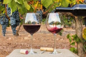 Seminário aborda produção de uvas de inverno e vinhos finos no ES