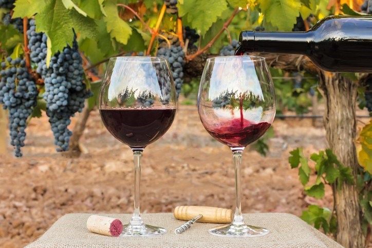 Seminário aborda produção de uvas de inverno e vinhos finos no ES