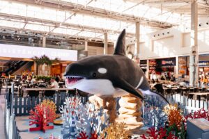 Exposição ‘O Fantástico Mundo Marinho’ segue até 19 de outubro em Vila Velha