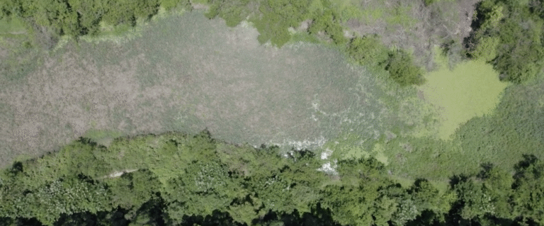 Cineclube Veias Abertas exibe documentário sobre a comunidade do entorno do Rio Marinho