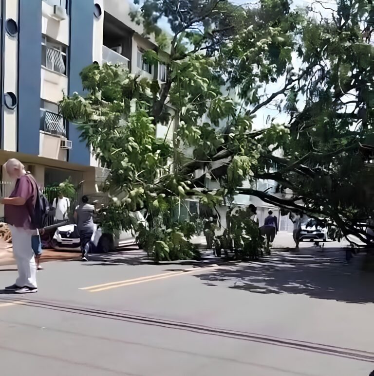 Árvore cai sobre carro e interdita rua em Jardim da Penha, em Vitória