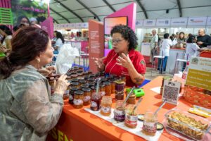 Feira reúne ativismo alimentar, cultura e shows de Casaca e Macucos em Vitória
