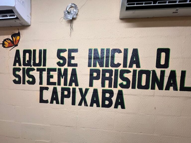 Artigo – Nem casulo, nem prisão: liberdade