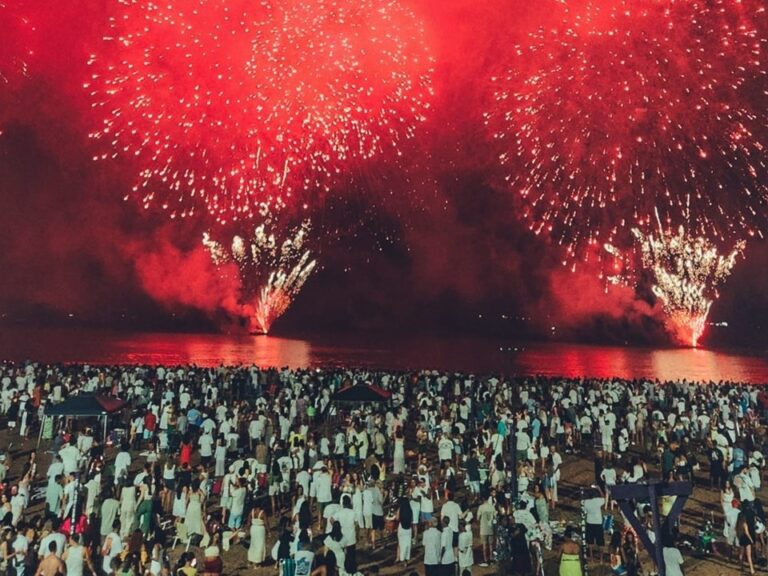 ES regulamenta lei que proíbe fogos barulhentos e reforça políticas de proteção