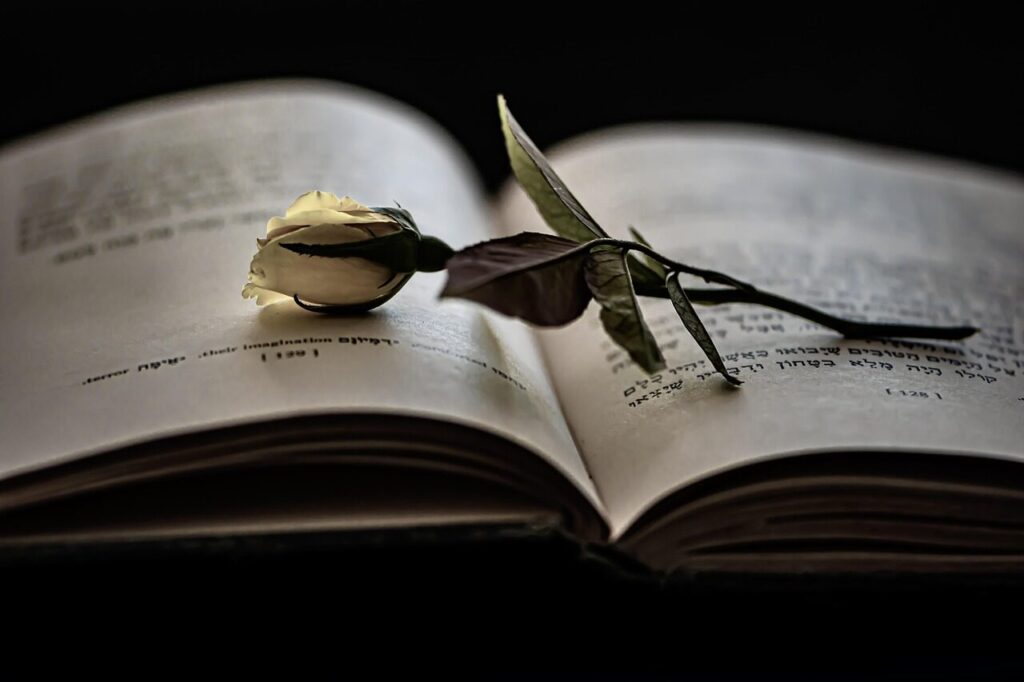 Manifesto em favor das pessoas emocionadas, apaixonadas e vivas