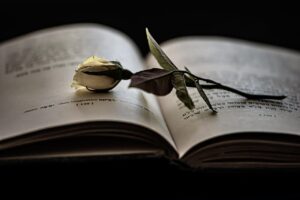 Manifesto em favor das pessoas emocionadas, apaixonadas e vivas