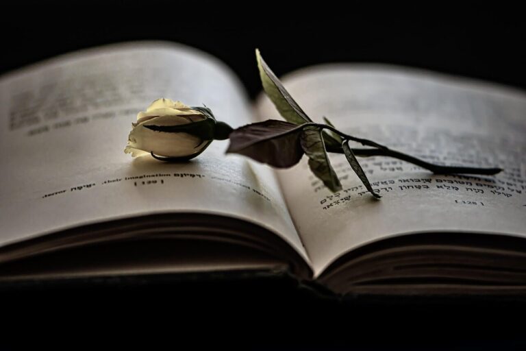 Manifesto em favor das pessoas emocionadas, apaixonadas e vivas