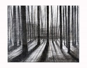 MAES: últimos dias da exposição ‘Arte em Todos os Sentidos’, em Vitória