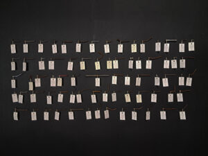 DAVisuais abre calendário 2026 da GAP com exposição ‘Tramas do Ser’ na Ufes