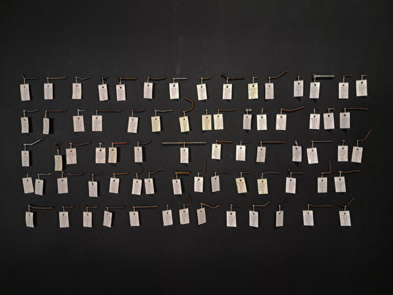 DAVisuais abre calendário 2026 da GAP com exposição ‘Tramas do Ser’ na Ufes