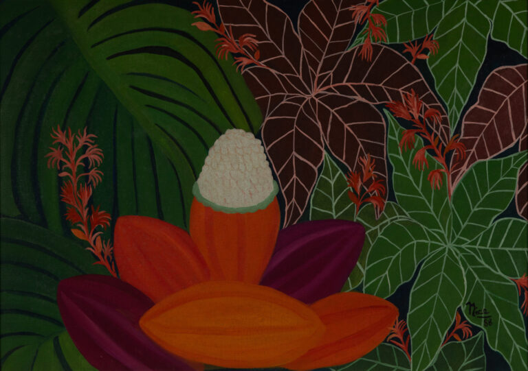 Exposição no MAES revisita a produção de Nice Avanza sob perspectiva contemporânea