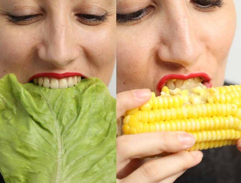 Exposição em Vitória transforma alimentação em experiência artística e sensorial
