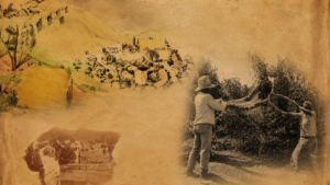 Museu da Identidade Capixaba tem projeto lançado e está previsto para 2028