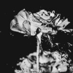 Exposição no ES reúne 26 fotógrafos brasileiros em projeto sobre memória e futuro