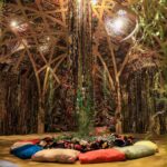 Exposição ‘Você Já Escutou a Terra?’ segue itinerância pelo Espírito Santo