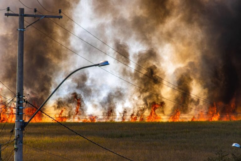 ES cria plano para enfrentar efeitos do El Niño e prevê monitoramento diário 8 ES cria plano para enfrentar efeitos do El Niño e prevê monitoramento diário