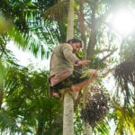 Websérie mostra como a Juçara molda a vida e a cultura no Caparaó Capixaba