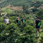 Websérie leva o café do Caparaó Capixaba para a tela do cinema em Vitória