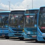 Eleições: Transcol e Aquaviário terão tarifa gratuita neste domingo (4)