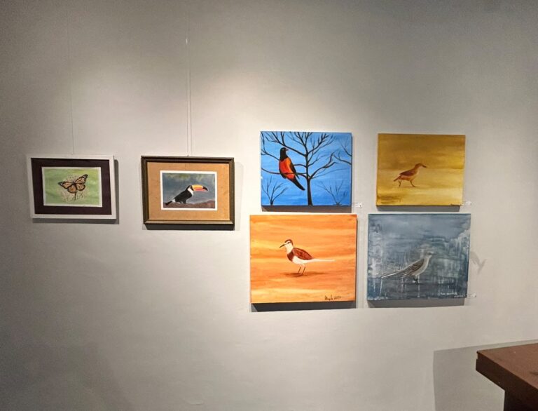 Alunos de escola pública de Vitória apresentam obras de arte em exposição no TJES 8 Alunos de escola pública de Vitória apresentam obras de arte em exposição no TJES
